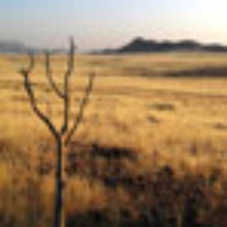 Duncan's Smoke House